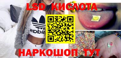 spice Кингисепп