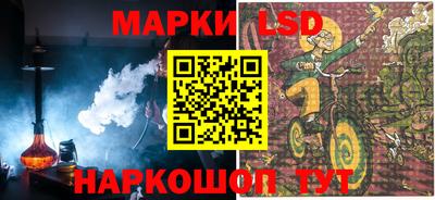 spice Кингисепп