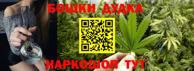 spice Кингисепп