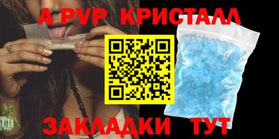 spice Кингисепп