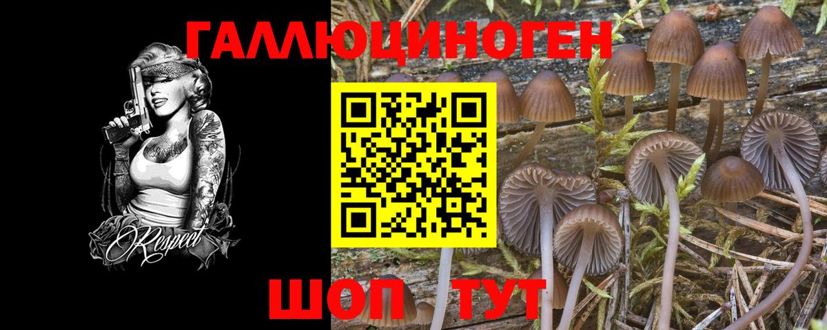 Псилоцибиновые грибы прущие грибы Котельники