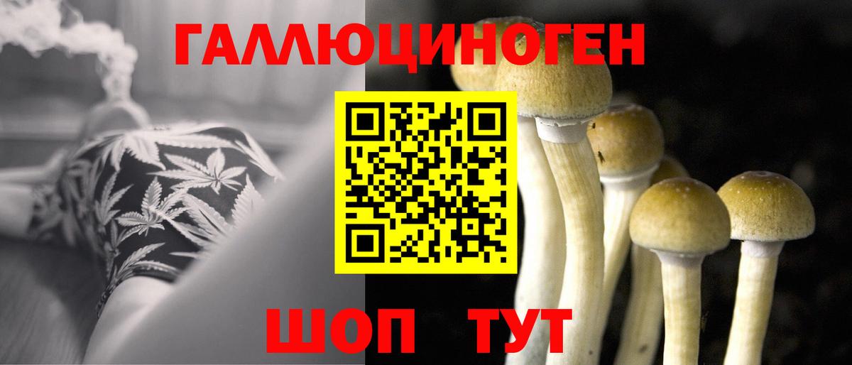 Галлюциногенные грибы Psilocybine cubensis  Галлюциногенные грибы прущие грибы  Котельники  где купить   Вход с VPN 